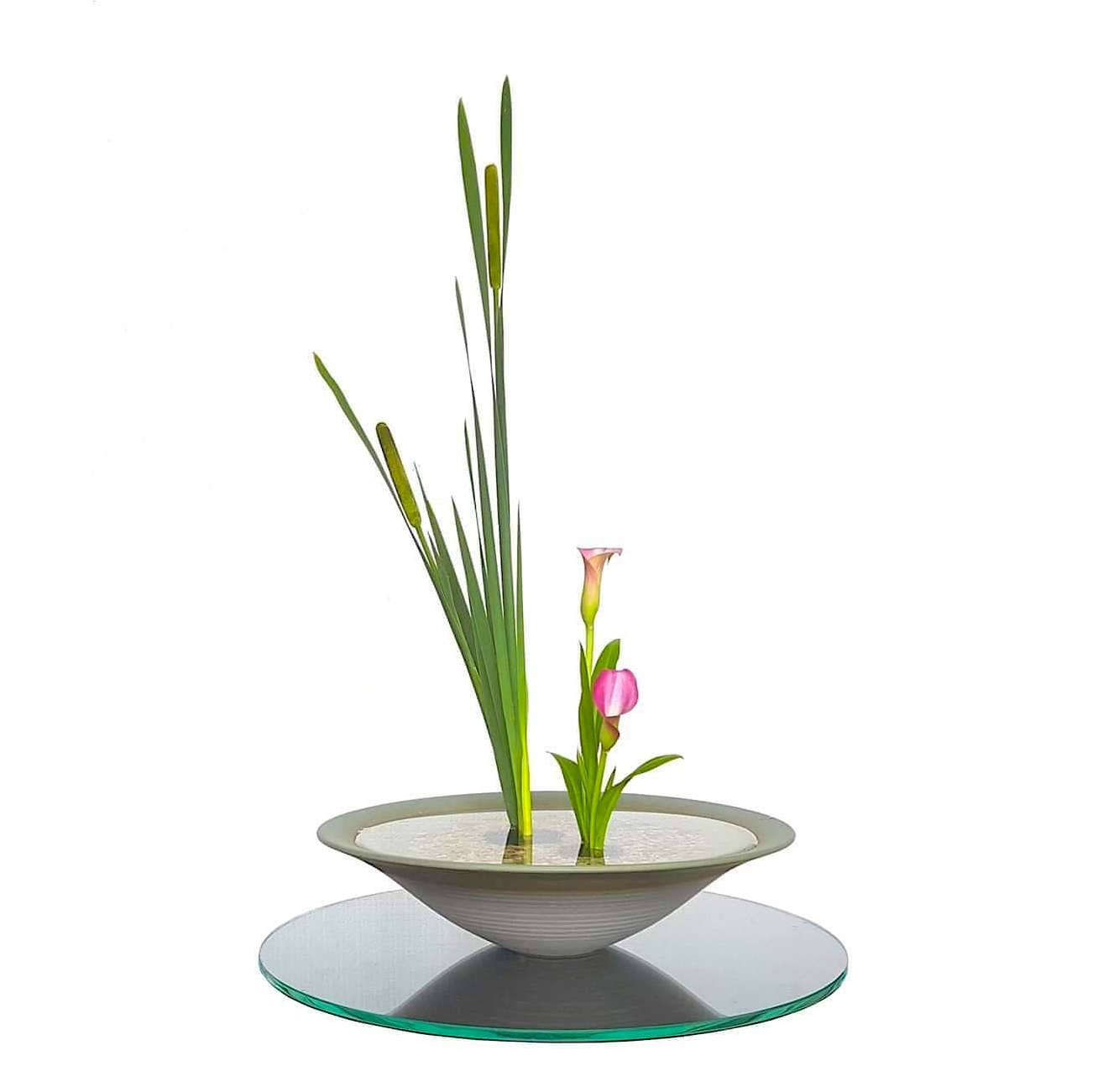 GYODO IKE Typha & Calla 2021 RR