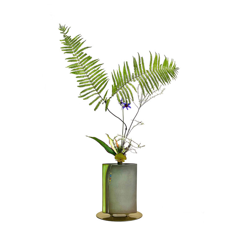 RIKKA SHIMPUTAI - Gleishenia fern IMG_7236 RR copie