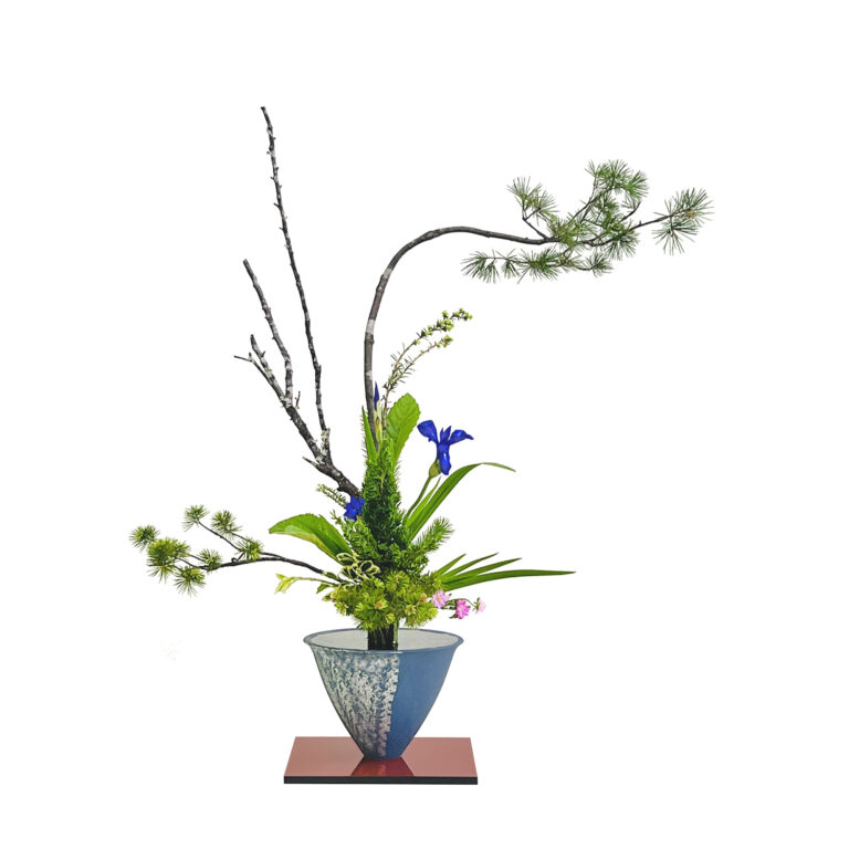 RIKKA SHOFUTAI - Fantail willow, Narcissus IMG_2322 RR