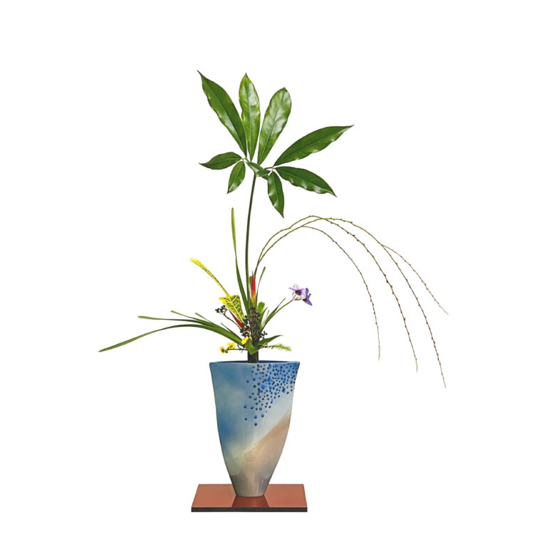 RIKKA SHOFUTAI - Philodendron, Leucocoryne, Weeping Willow IMG_0215 2RR