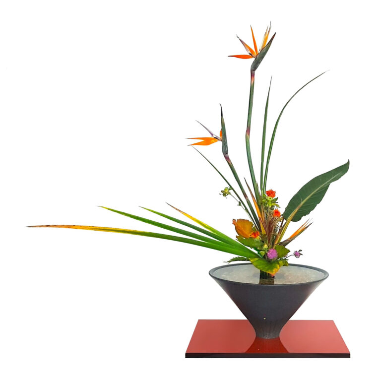 RIKKA SHOFUTAI - Streliotzia, Safflower, Miscanthus 1VVG RR - PHOTOS NOV 2020 - RR Mar 17, 2024
