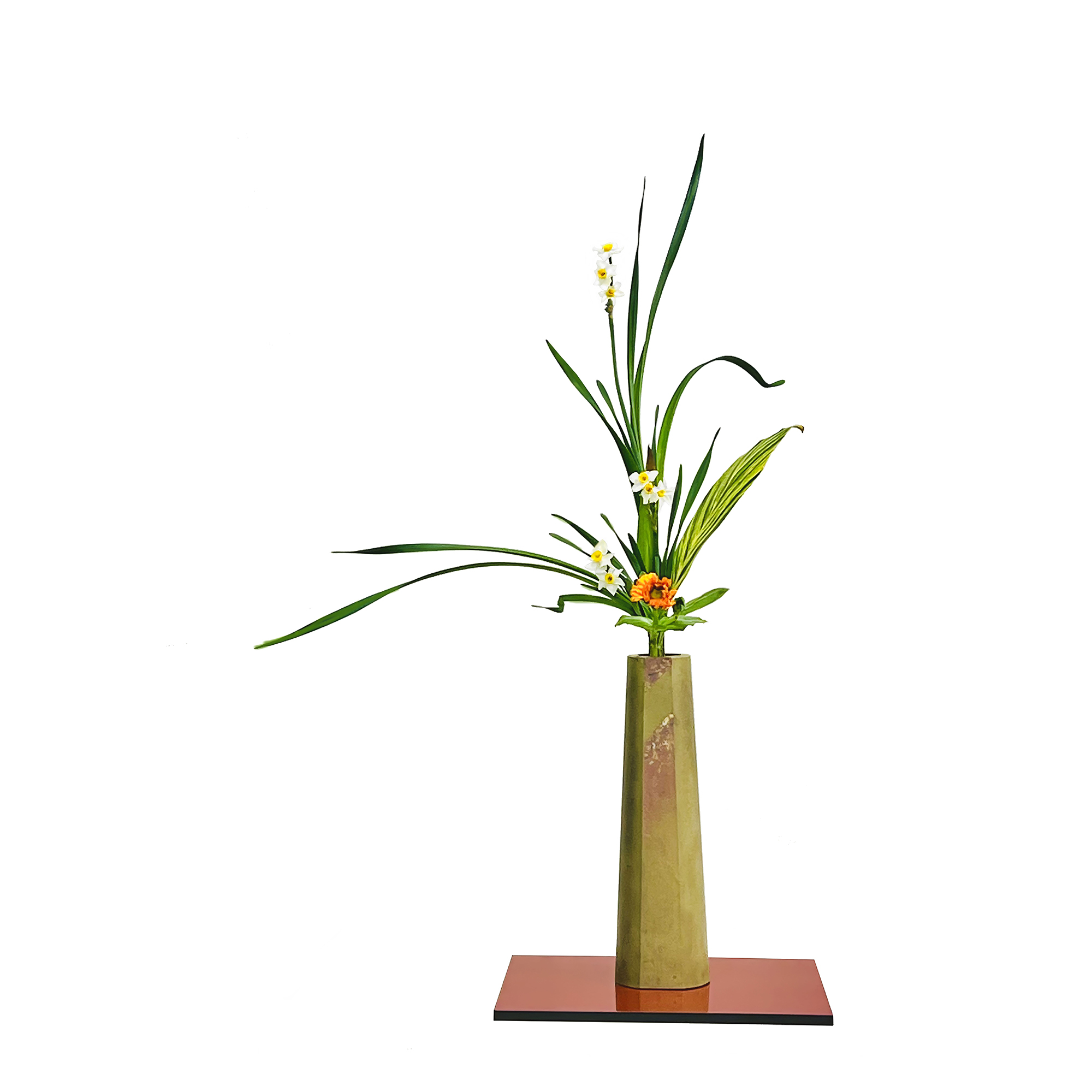 RIKKA SHOFUTAI - Suisen, Shell ginger leaf, Calendula