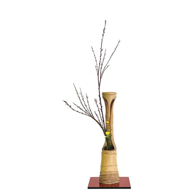SHOKA NISHUIKE - Pussy willow, Mini chrysanthemum IMG_8953 RR