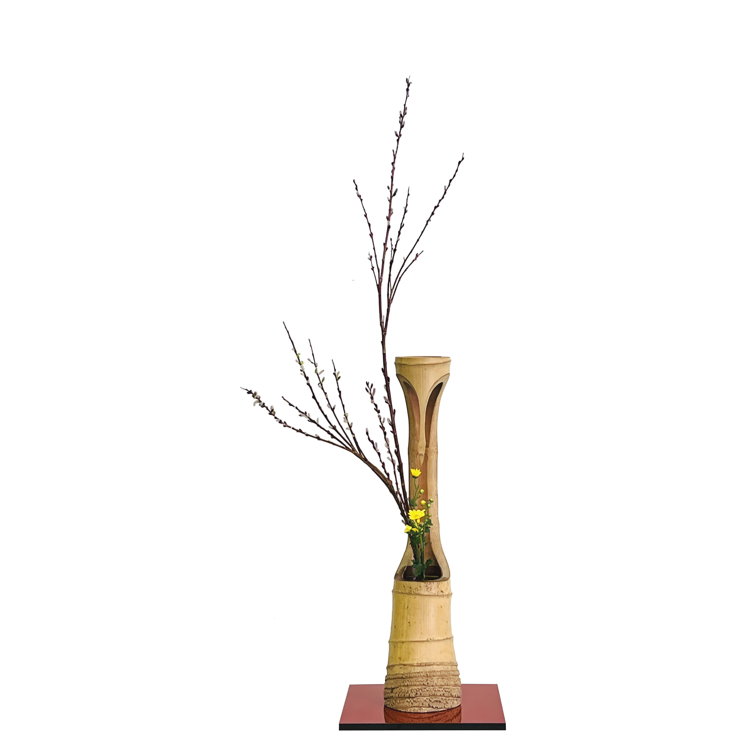SHOKA NISHUIKE - Pussy willow, Mini chrysanthemum IMG_8953 RR