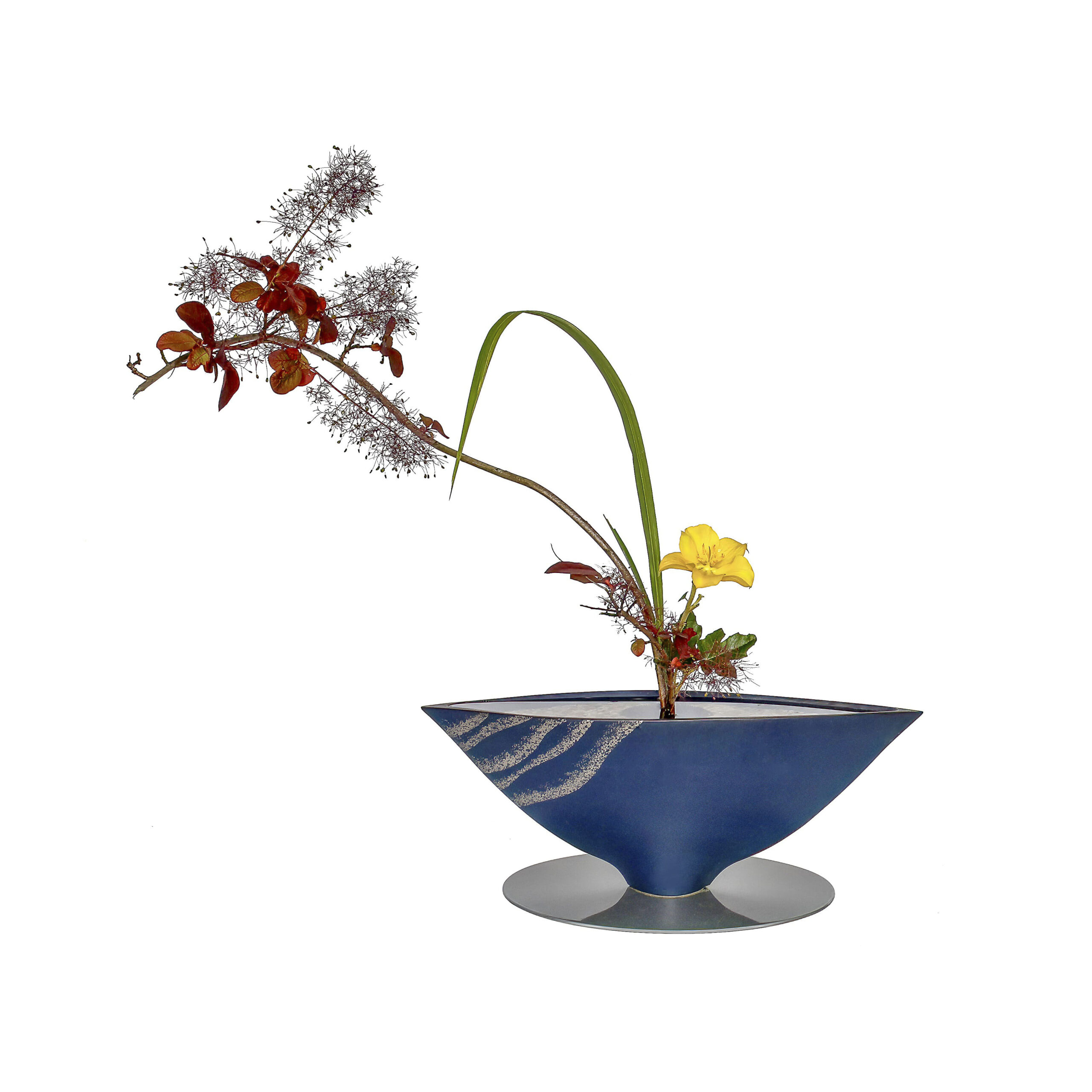 SHOKA SHIMPUTAI - Coggygria cotinus
