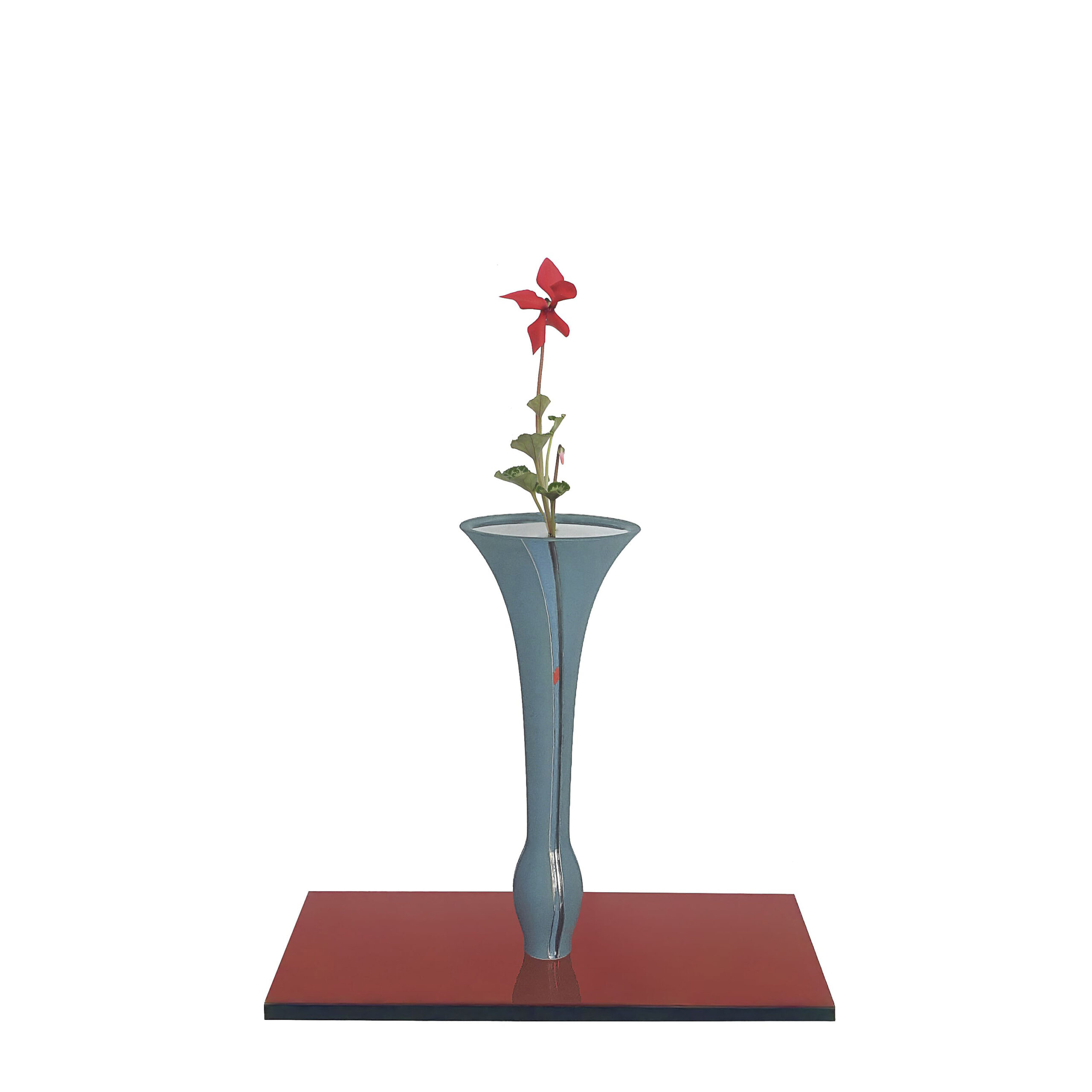 SHOKA SHOFUTAI ISSHUIKE Cyclamen - opposite attract - Jan 15, 2024