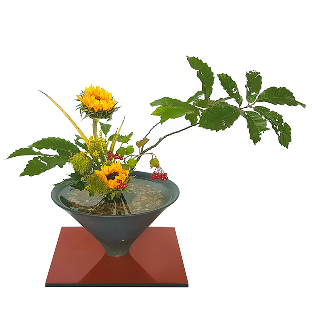 1. JIYUKA Chestnut, Sunflower, Viburnum compacta RR with plateau modified - Jan 15, 2024-2