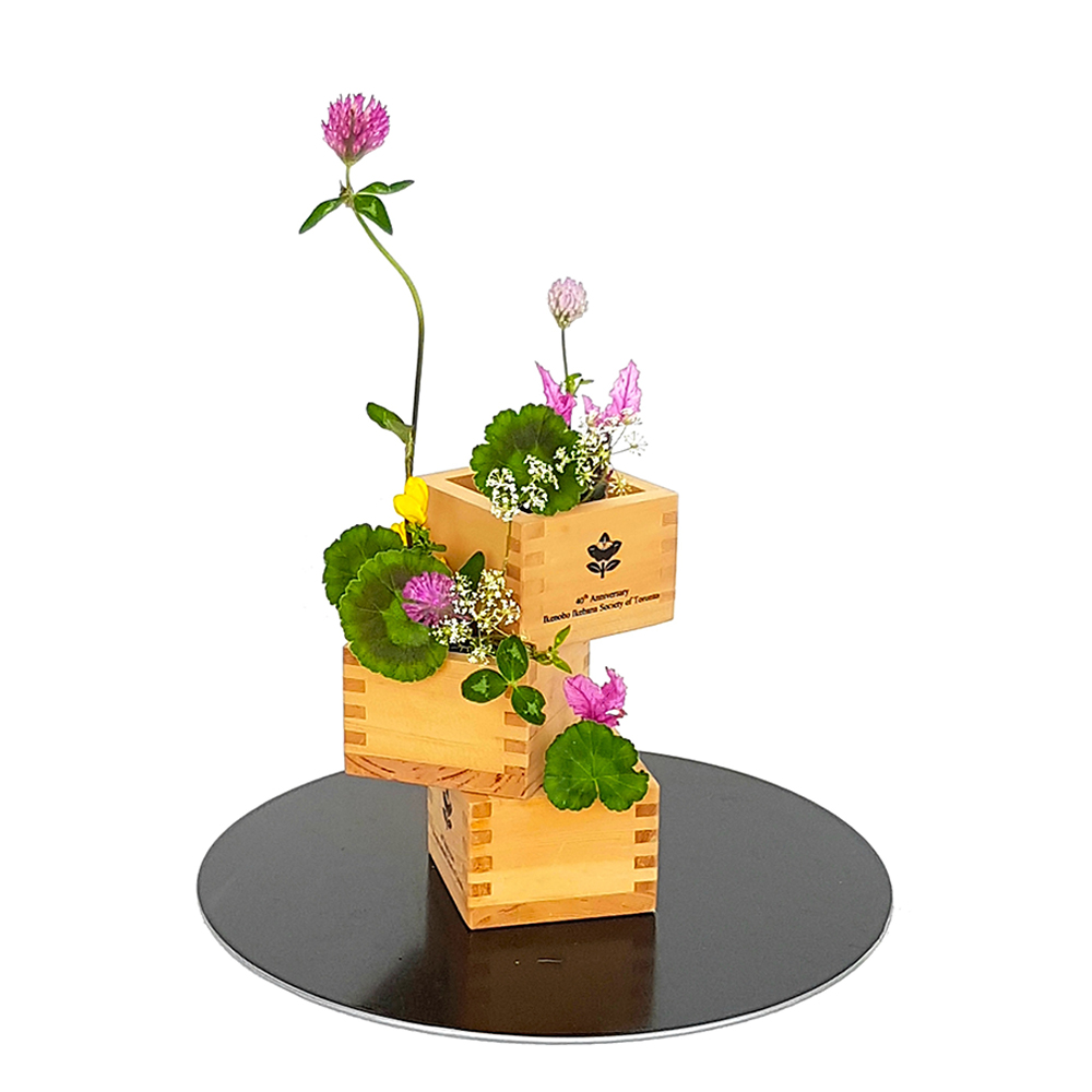 3. JIYUKA - 3 boxes geranium leaves 1 RR-2