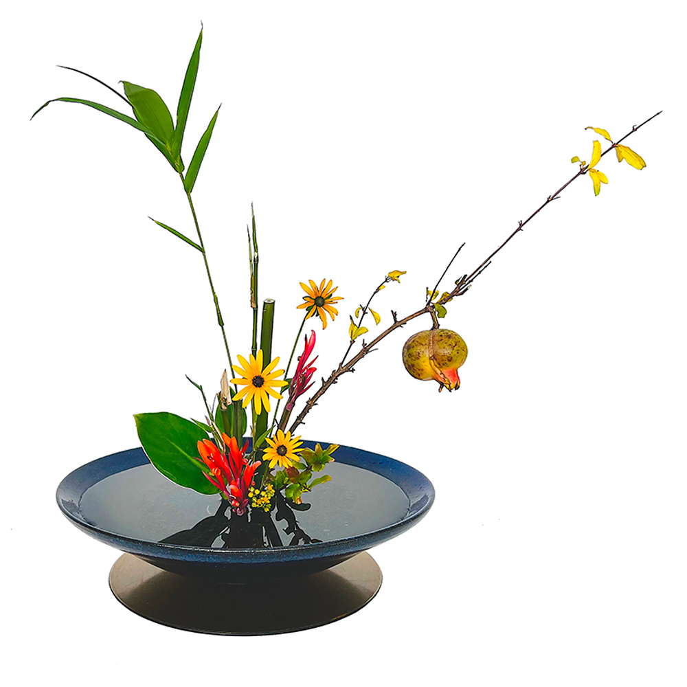 5. JIYUKA NATURALISTIC - Promegranate, Bamboo, Canna IMG-1195 - Daniel Morand-2