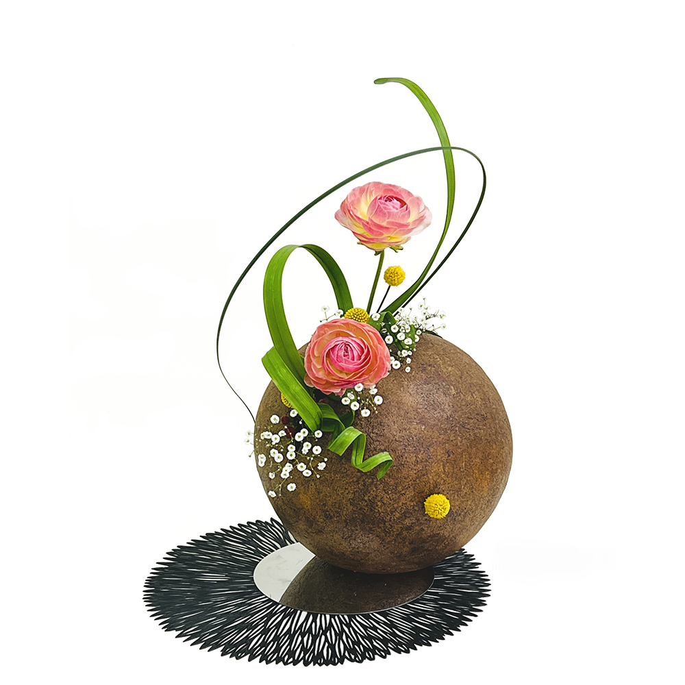 5. JIYUKA - Ranunculus - Feb 2025 IMG_0375 2 RR